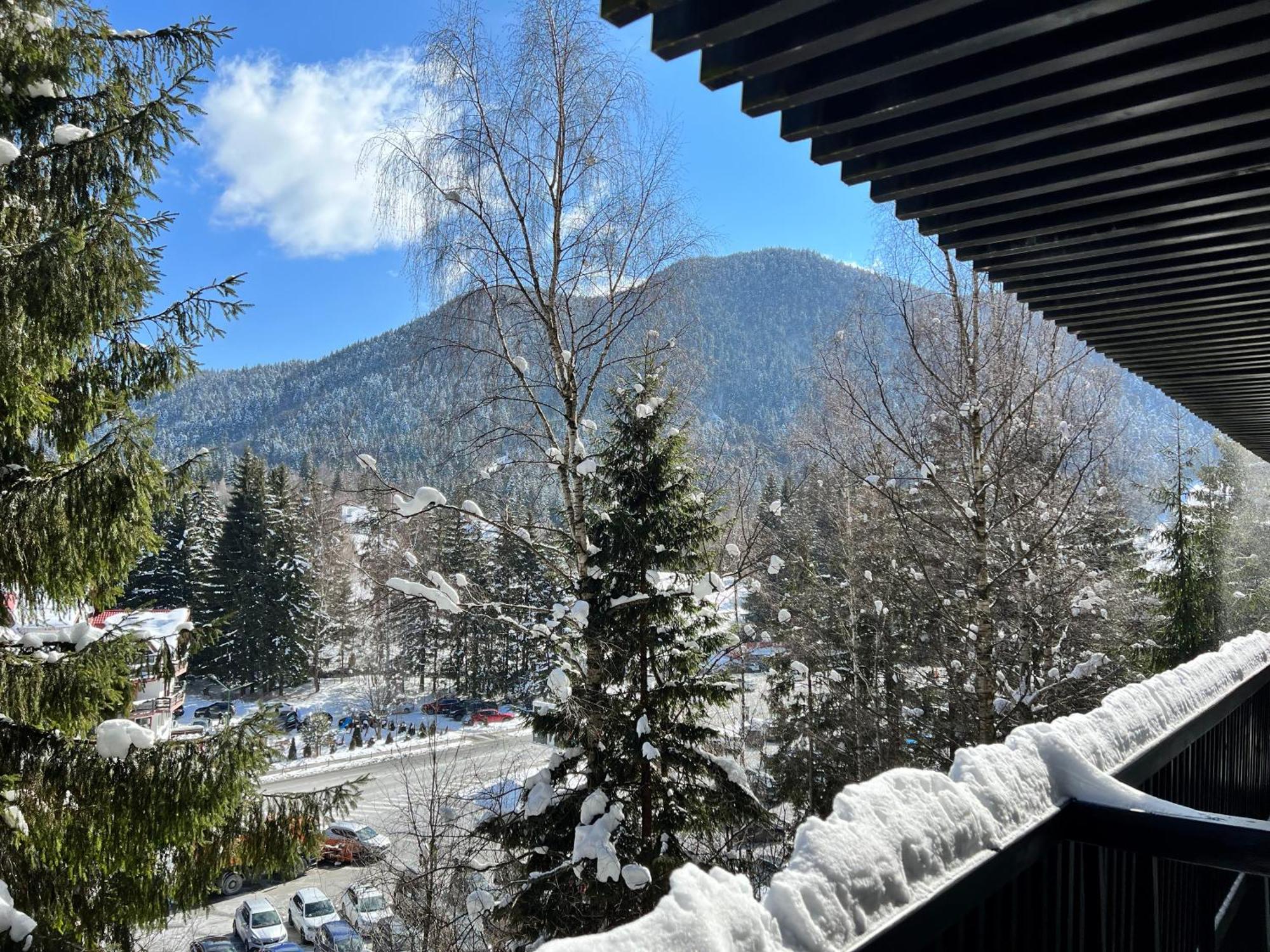 Apartment 2305 Hotel Alpin بويانا براسوف المظهر الخارجي الصورة